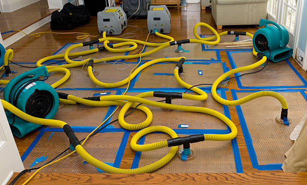 Professional Basement Flood Cleanup technician working in Baldwin City, KS