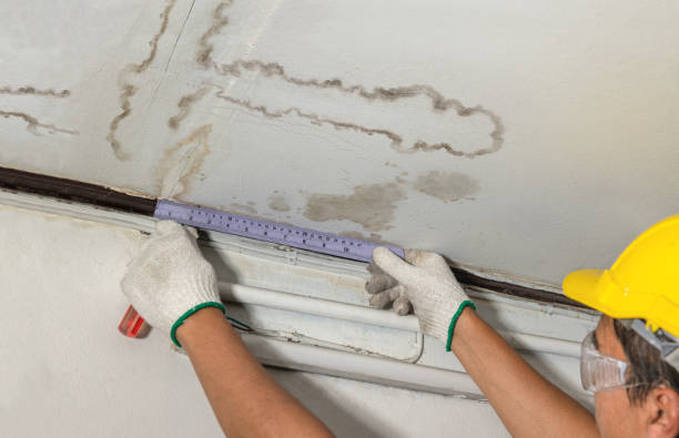 Affordable Water Damage Repair solutions in Baldwin City, KS